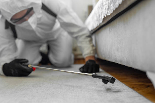 Professional Pest Control technician working in Cochran County County, TX